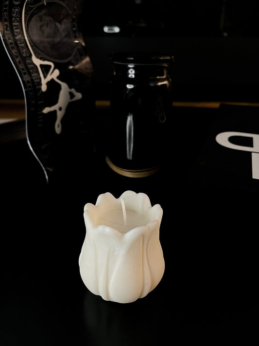 TULIPE - Flammenliebe