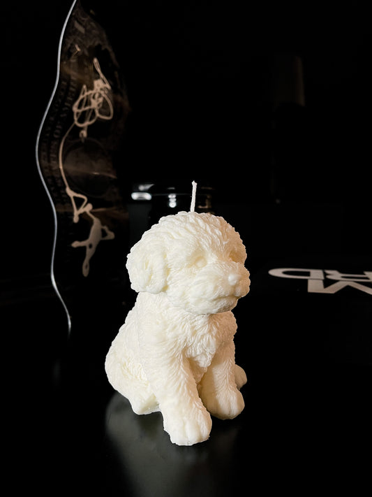 CHARLIE - Flammenliebe