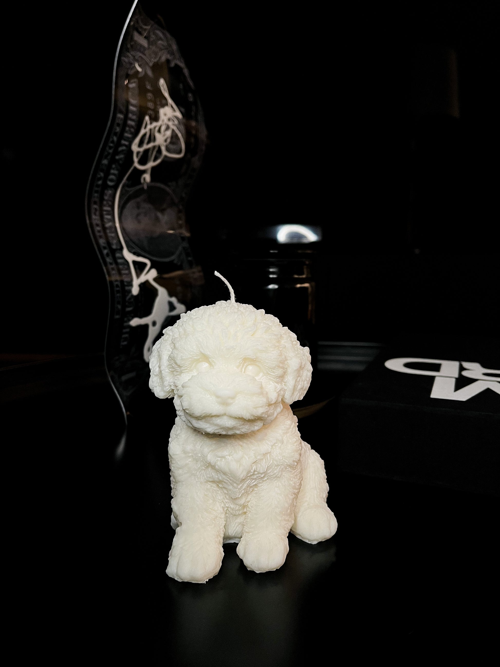 CHARLIE - Flammenliebe